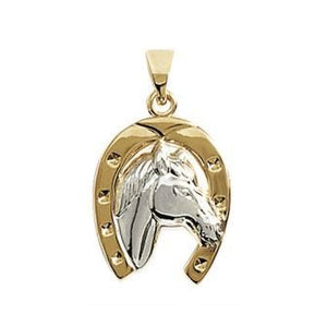 Pendentif bicolore tête et fer à cheval