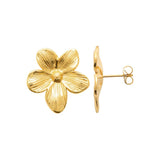 Boucles en acier doré 880j1207