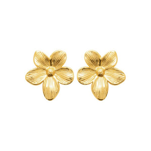 Boucles en acier doré 880j1207