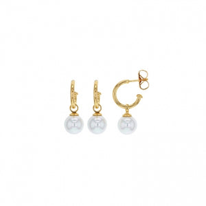 Boucles créoles en plaqué or avec perles 880j-794