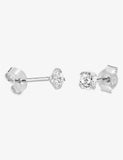 Boucles d'oreilles en argent 682-2434
