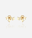 Boucles d'oreilles ZAG Massimo en acier doré