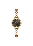 Montre Olympic Tess 117-295