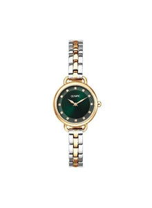 Montre Olympic Tess 116-156