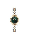Montre Olympic Tess 116-156